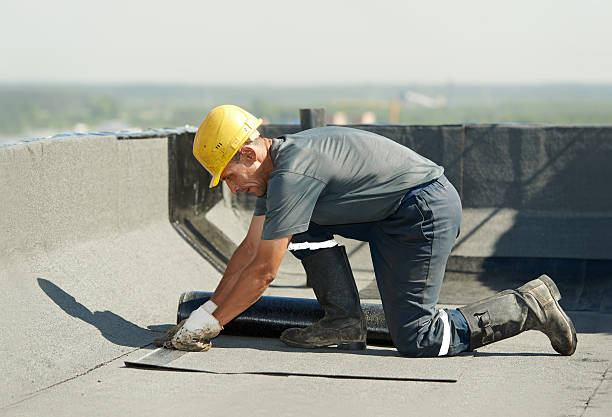 Best Insulation Contractor Near Me  in Grantsburg, WI